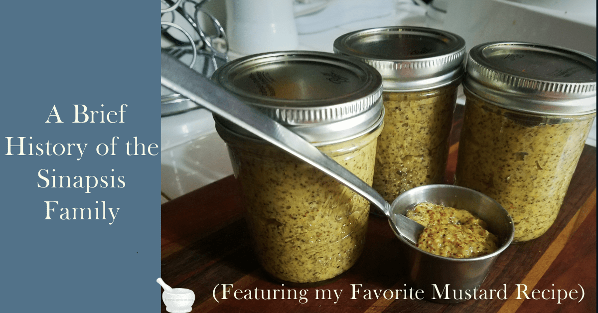 Image of three jars of homemade mustard.